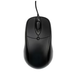 Computer Mouse/Mice