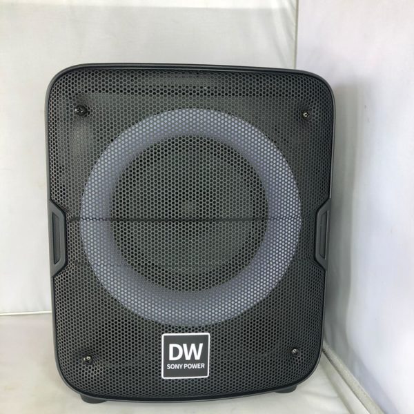 DW speaker front