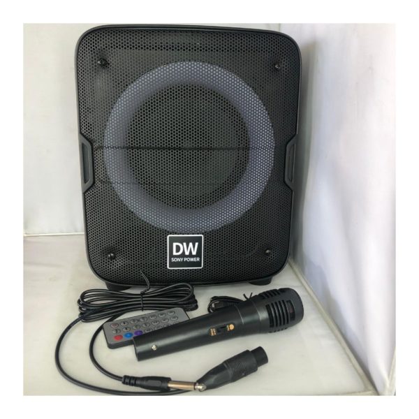 DW speaker with mic and remote