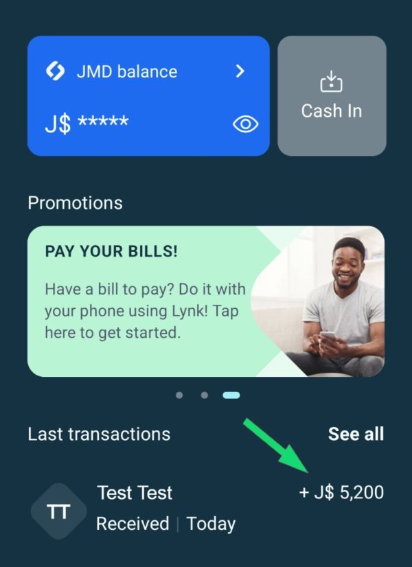 Lynk Payment In App
