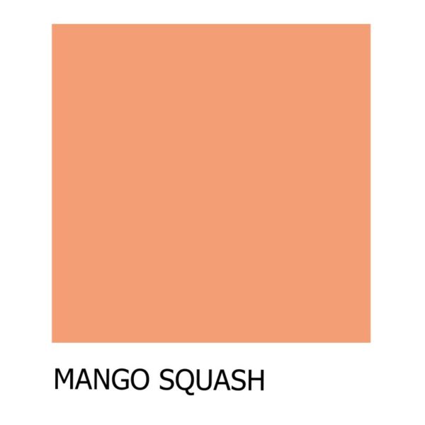 Mango squash