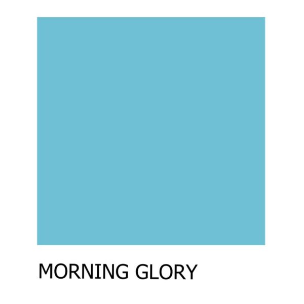 Morning Glory 1
