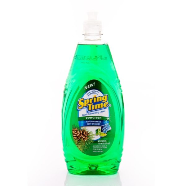 Spring Time Hand Dishwashing Liquid 750mL Evergreen 1