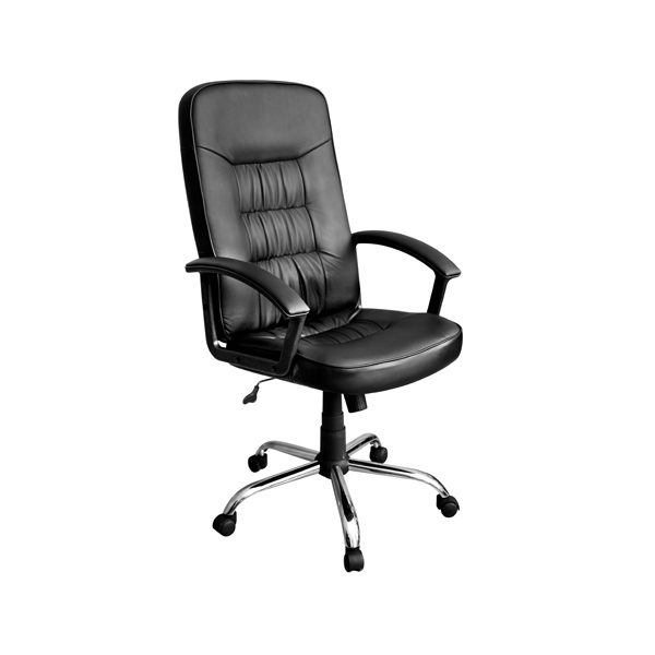 Xtech Executive Computer Office Chair with Arm Rests Calabria