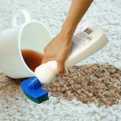 Household Carpet Cleaners & Deodorizers